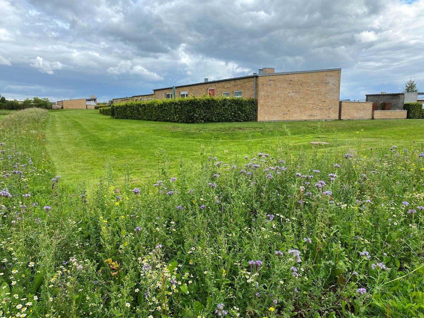 Rækkehuse på Nørremarken