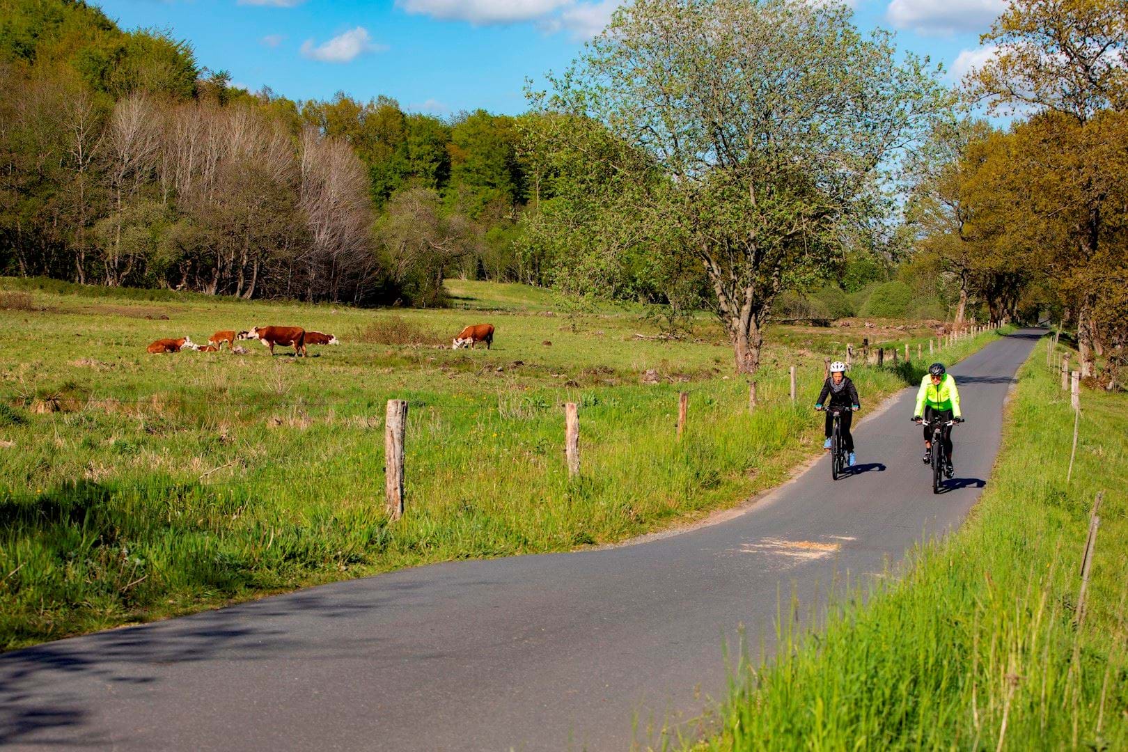 Cyklister på Bindeballestien
